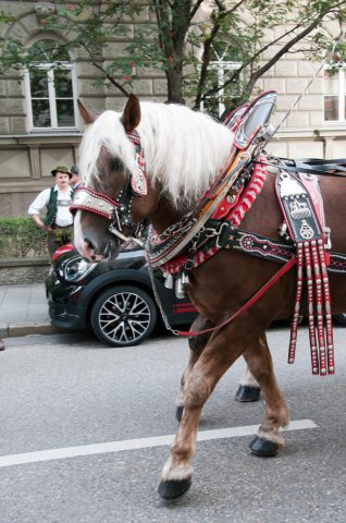 2013_Oktoberfest