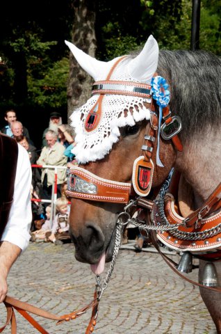 2013_Oktoberfest