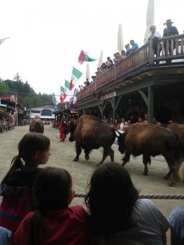 2018 Jugend Pullman City